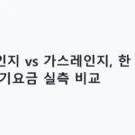 전기레인지 vs 가스레인지, 한 달 요리 전기요금 실측 비교
